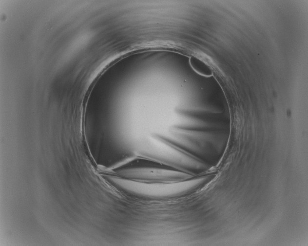 X0000075361228200609251054