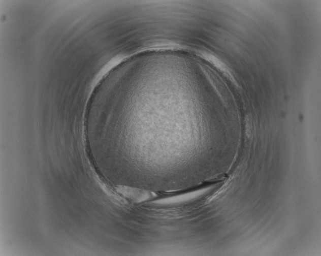 X0000075361229200609251054