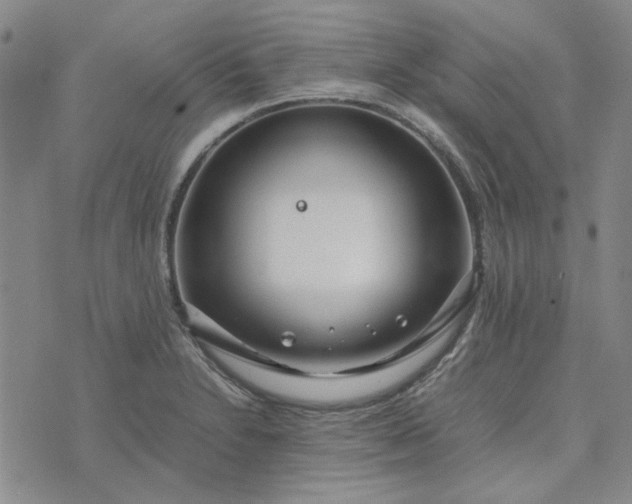 X0000075361230200609251054