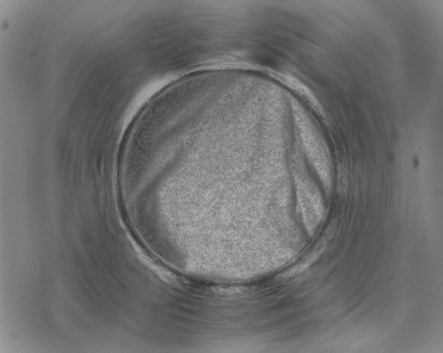 X0000075361231200609251054