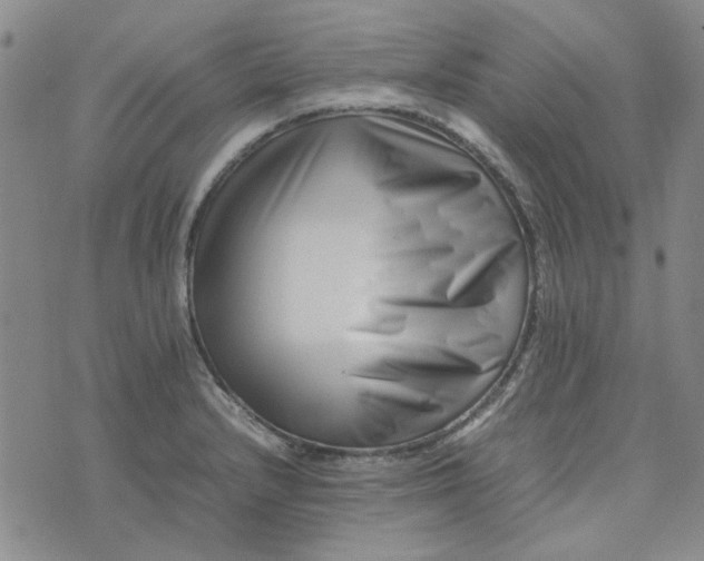 X0000075361232200609251054