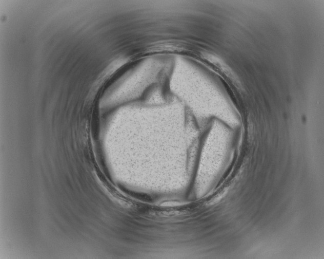 X0000075361233200609251054