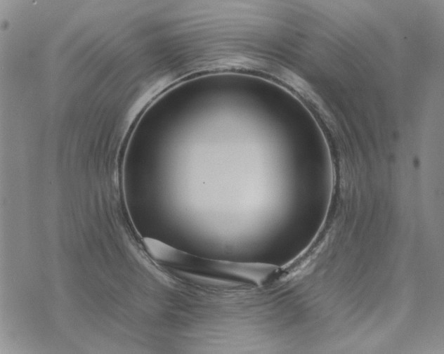 X0000075361234200609251054