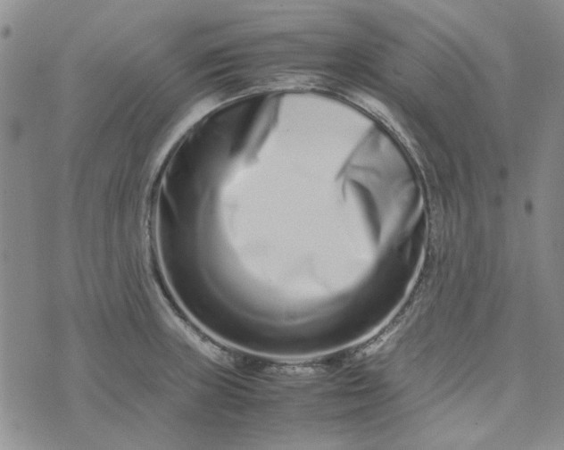 X0000075361235200609251054