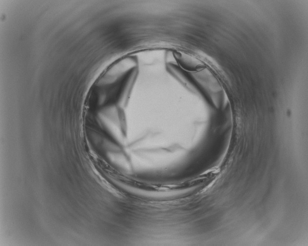 X0000075361236200609251054