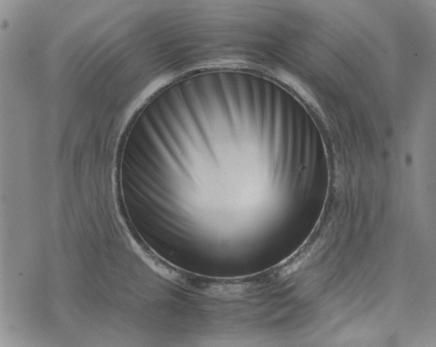 X0000075361237200609251054