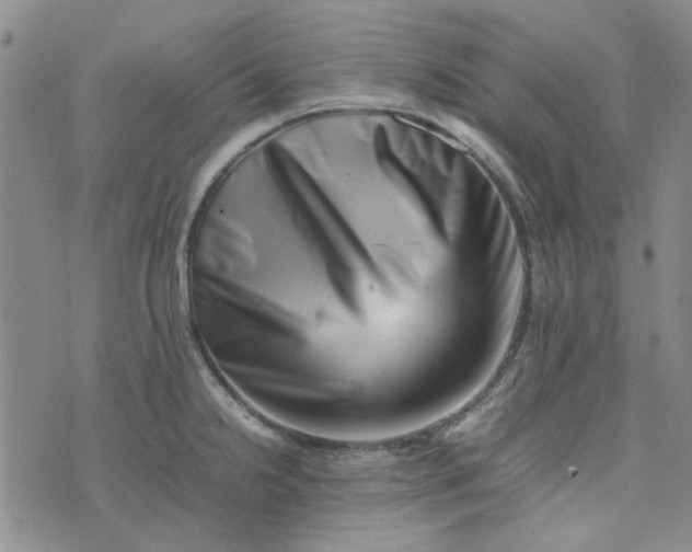 X0000075361238200609251054