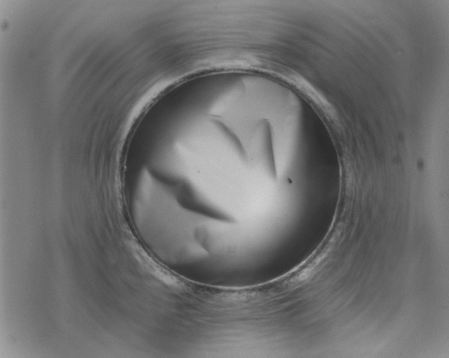 X0000075361240200609251054