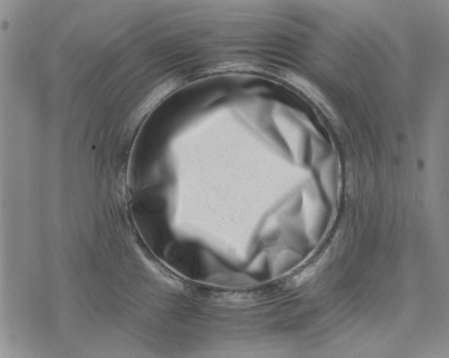 X0000075361241200609251054