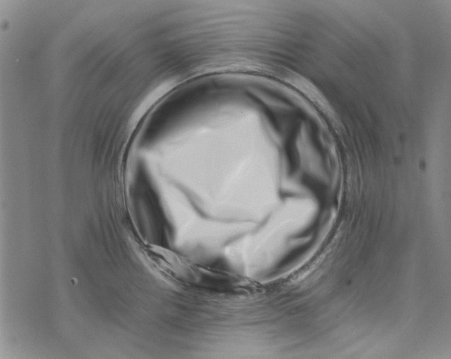 X0000075361242200609251054