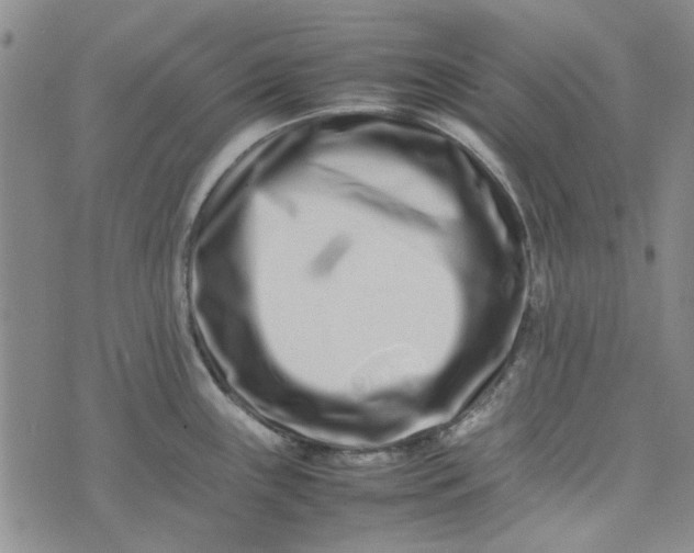 X0000075361243200609251054