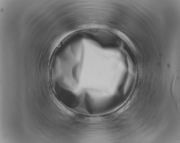 X0000075361244200609251054