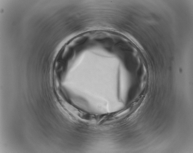 X0000075361246200609251054