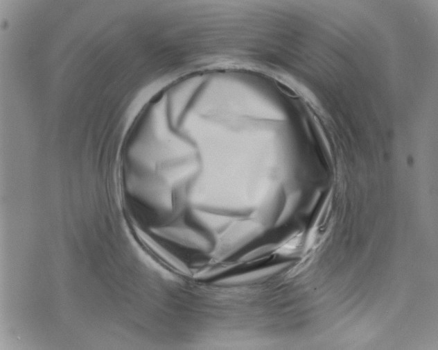 X0000075361247200609251054