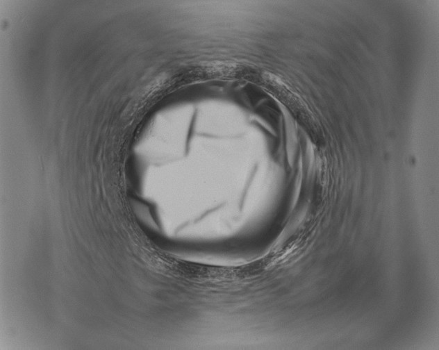 X0000075361249200609251053