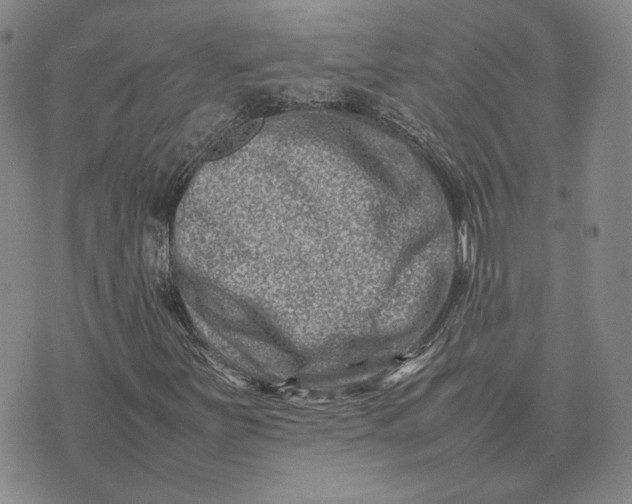 X0000075361251200609251053