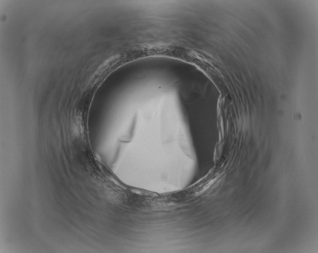 X0000075361252200609251053