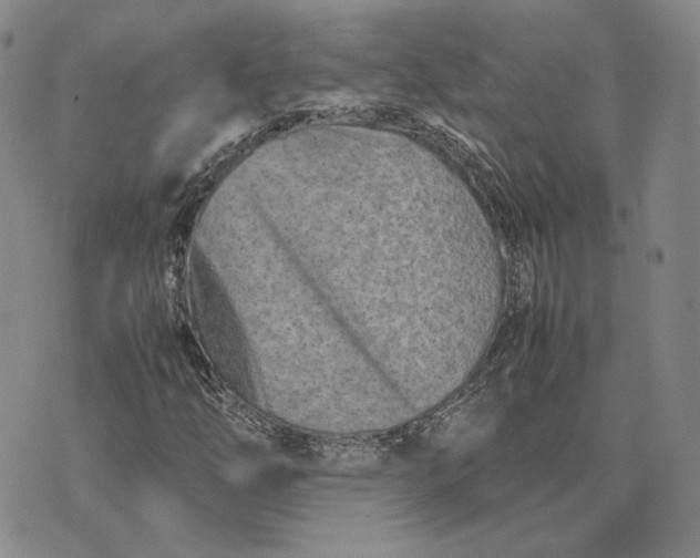 X0000075361254200609251053