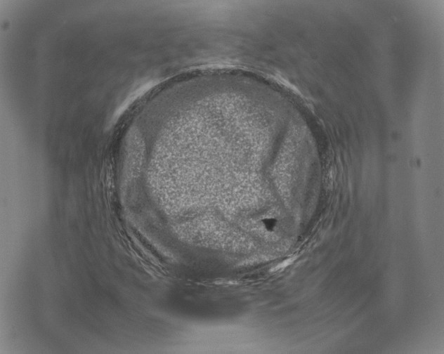 X0000075361255200609251053