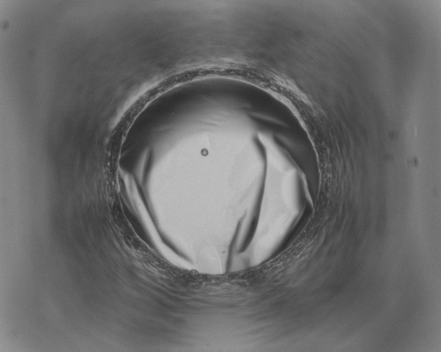 X0000075361256200609251053