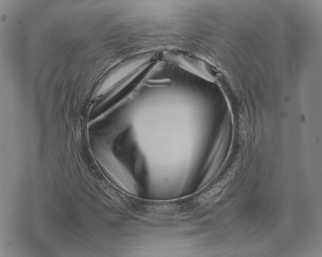 X0000075361257200609251053