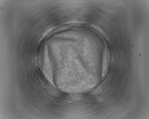 X0000075361258200609251053