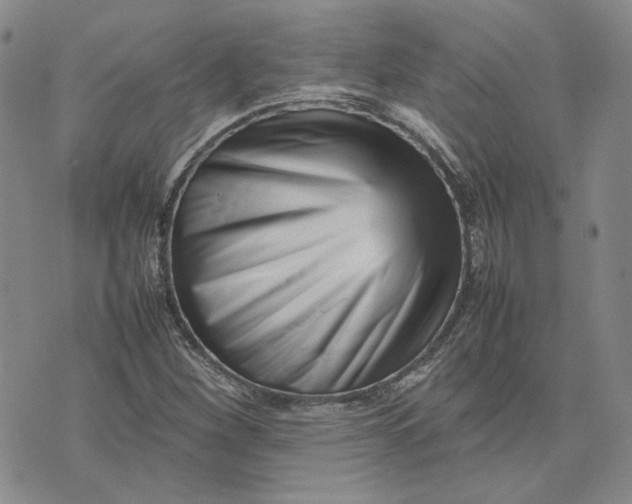 X0000075361260200609251053