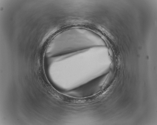 X0000075361261200609251053