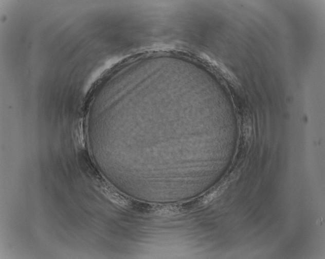 X0000075361262200609251053