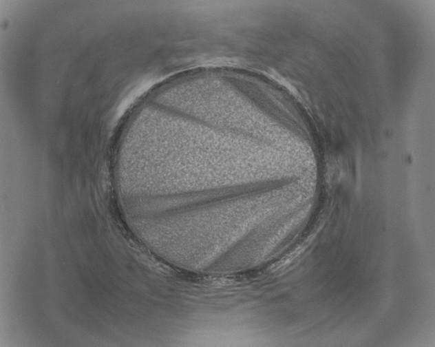 X0000075361263200609251053