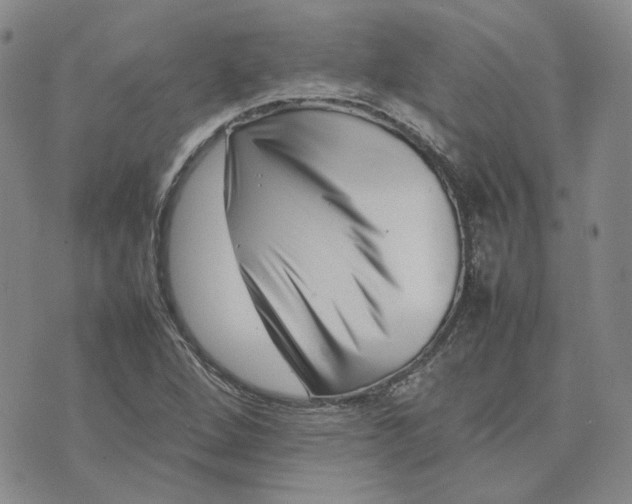 X0000075361264200609251053