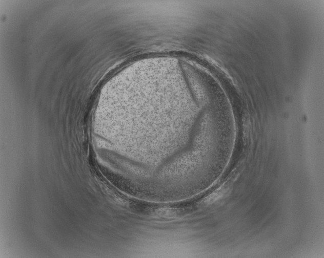 X0000075361265200609251053