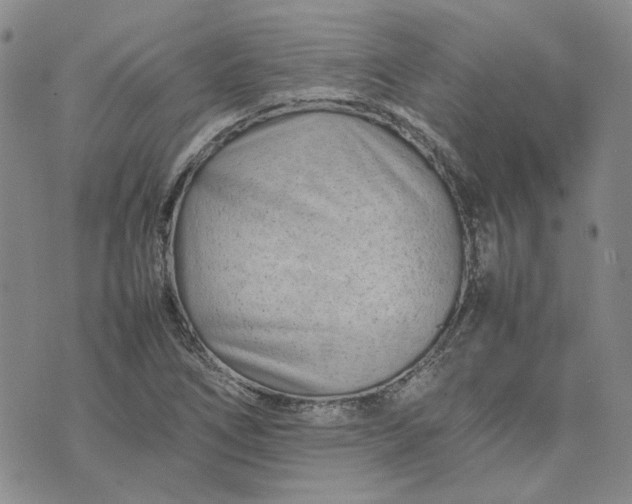 X0000075361266200609251053