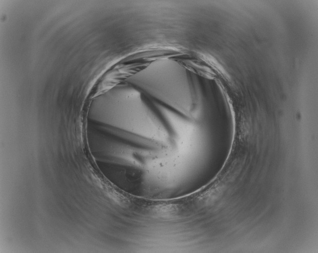 X0000075361268200609251053