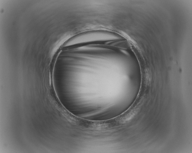 X0000075361269200609251053