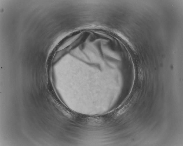 X0000075361270200609251053