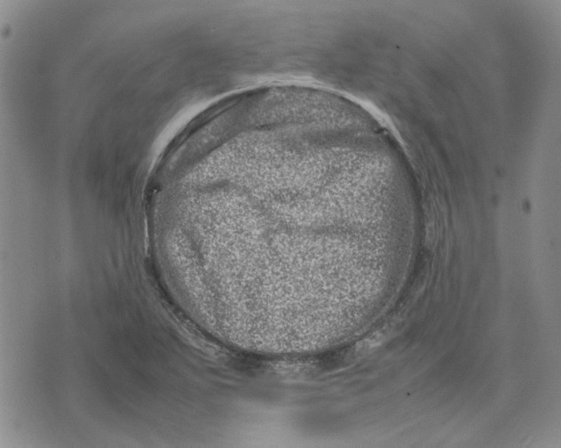 X0000075361271200609251053