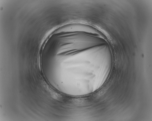 X0000075361272200609251053