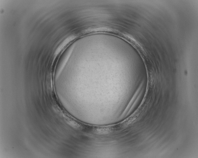 X0000075361274200609251053