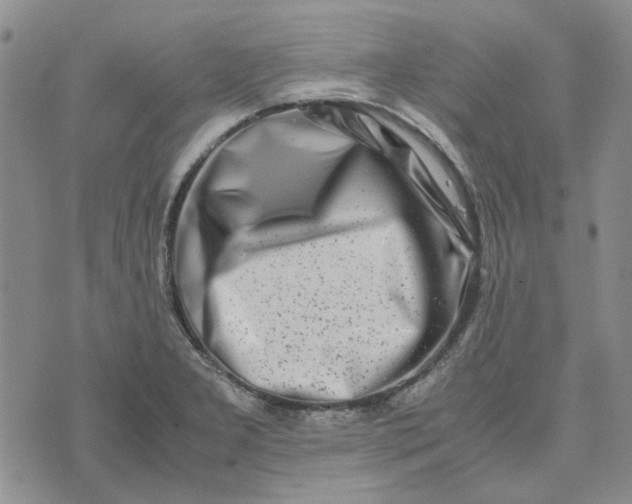 X0000075361277200609251053