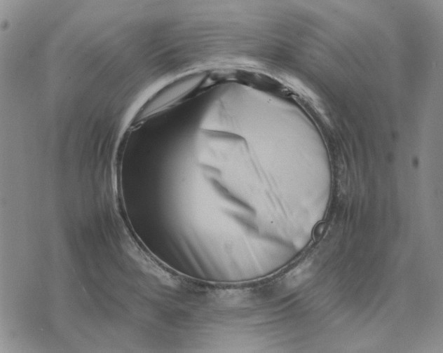 X0000075361280200609251053