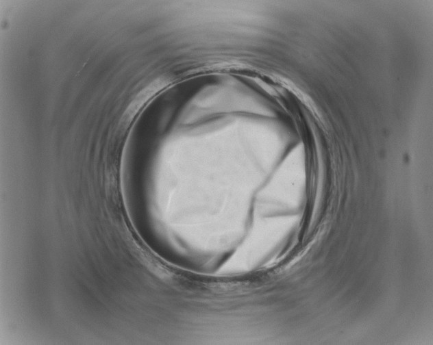 X0000075361281200609251053