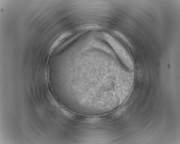 X0000075361282200609251053