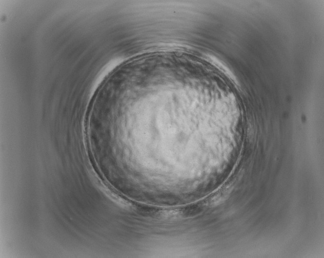 X0000075361283200609251052