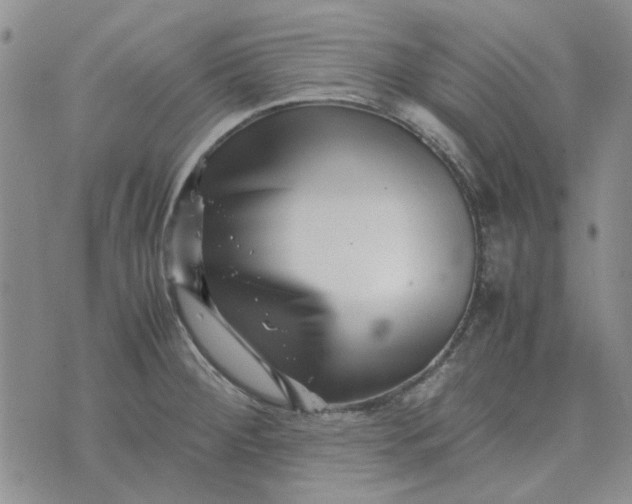 X0000075361284200609251052