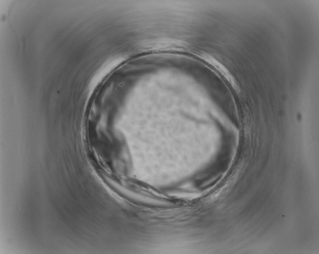 X0000075361285200609251052