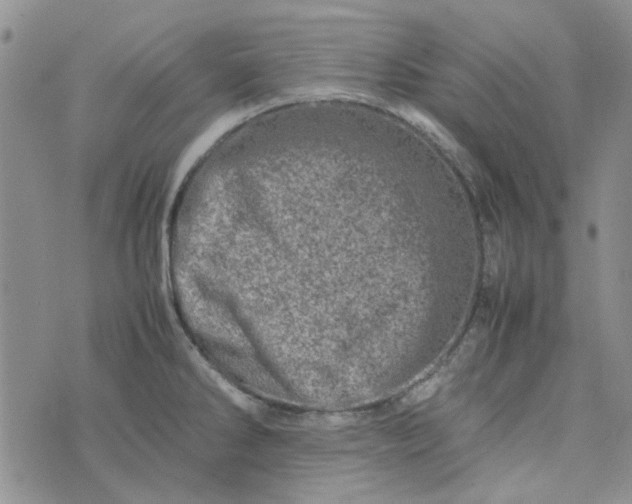 X0000075361286200609251052