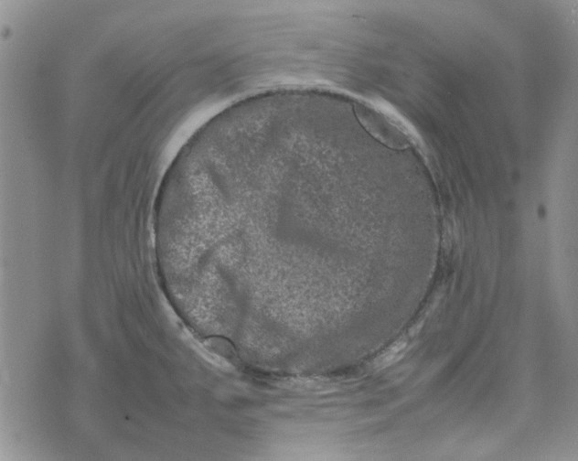 X0000075361287200609251052