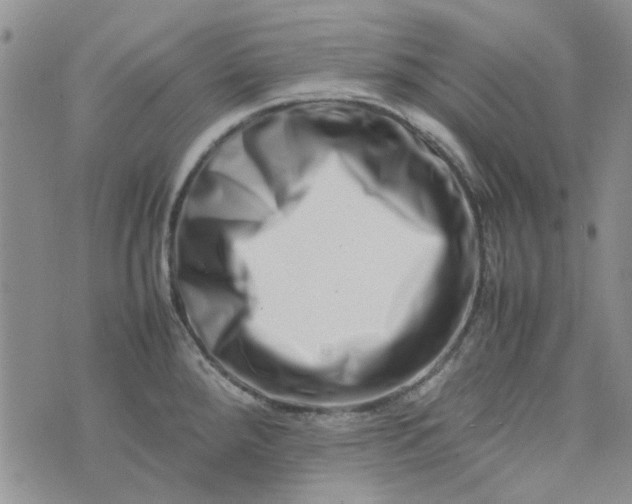 X0000075361288200609251052