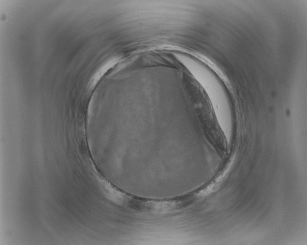 X0000075361289200609251052